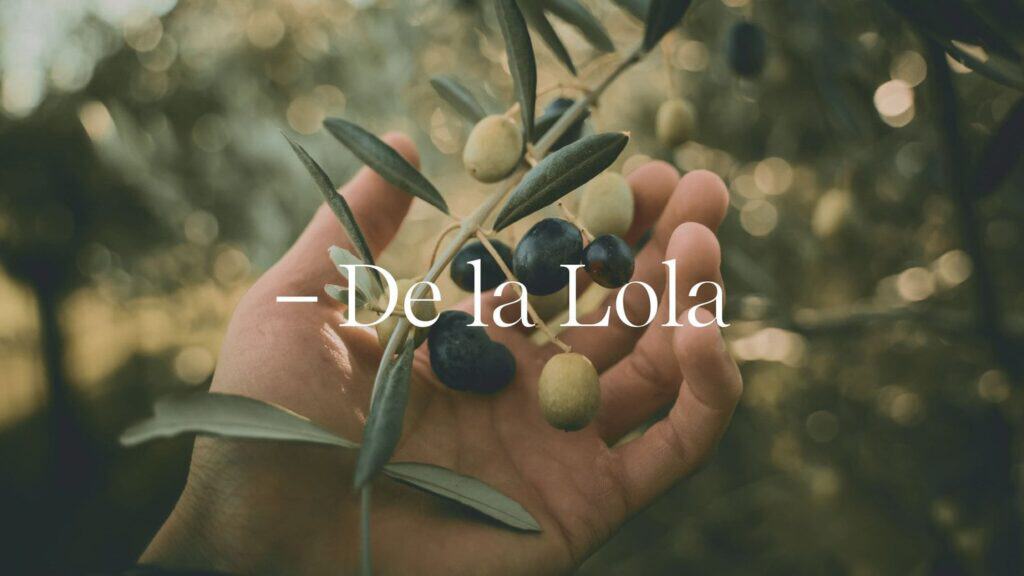 Identidad visual completa de De la Lola firmada por Mariona Agency