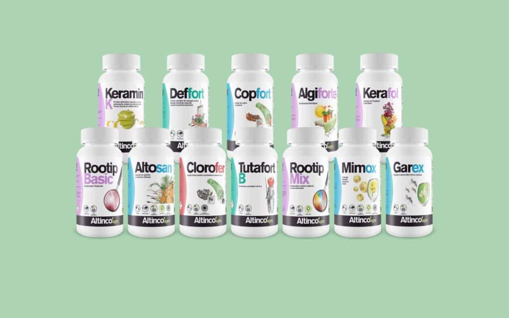Nuevo logotipo y branding de AltincoAgro, obra de Mariona Agency