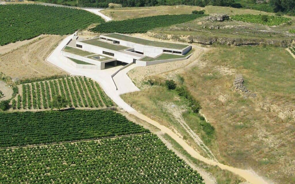 Etiquetaje de Bodega Contador desarrollado por Mariona Agency