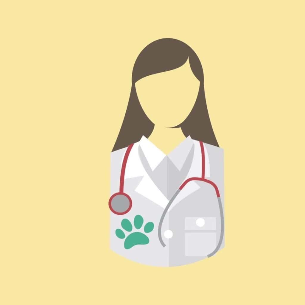 Veterinaria especialista ilustrada con bata y estetoscopio
