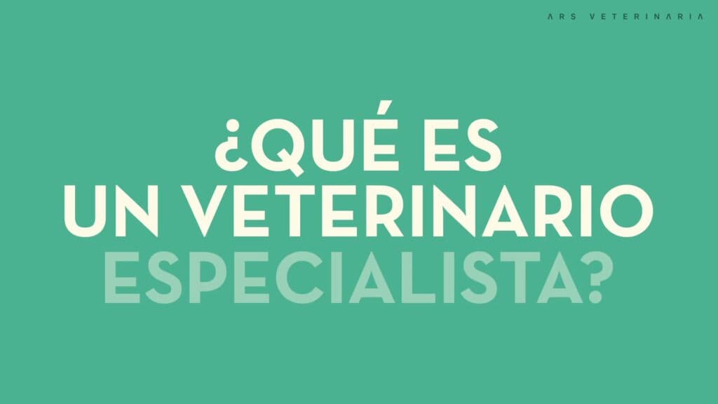 Título de la cápsula ¿Qué es un veterinario especialista? de Ars Veterinaria