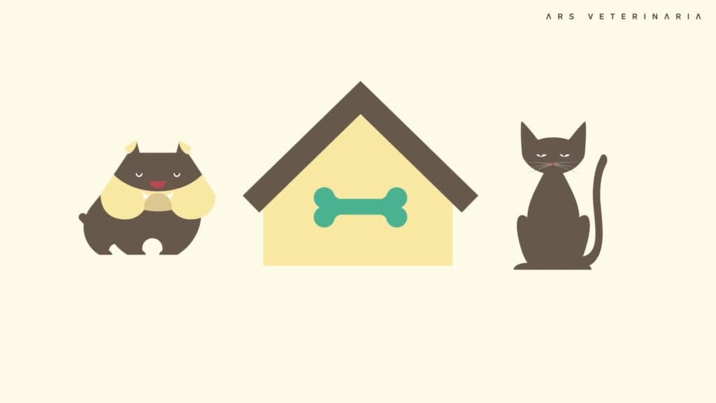 Perro, gato y caseta ilustrados en la cápsula de Ars Veterinaria