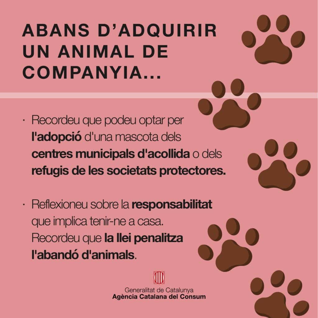 Publicación con consejos antes de adquirir un animal de compañía, diseño de Mariona Agency
