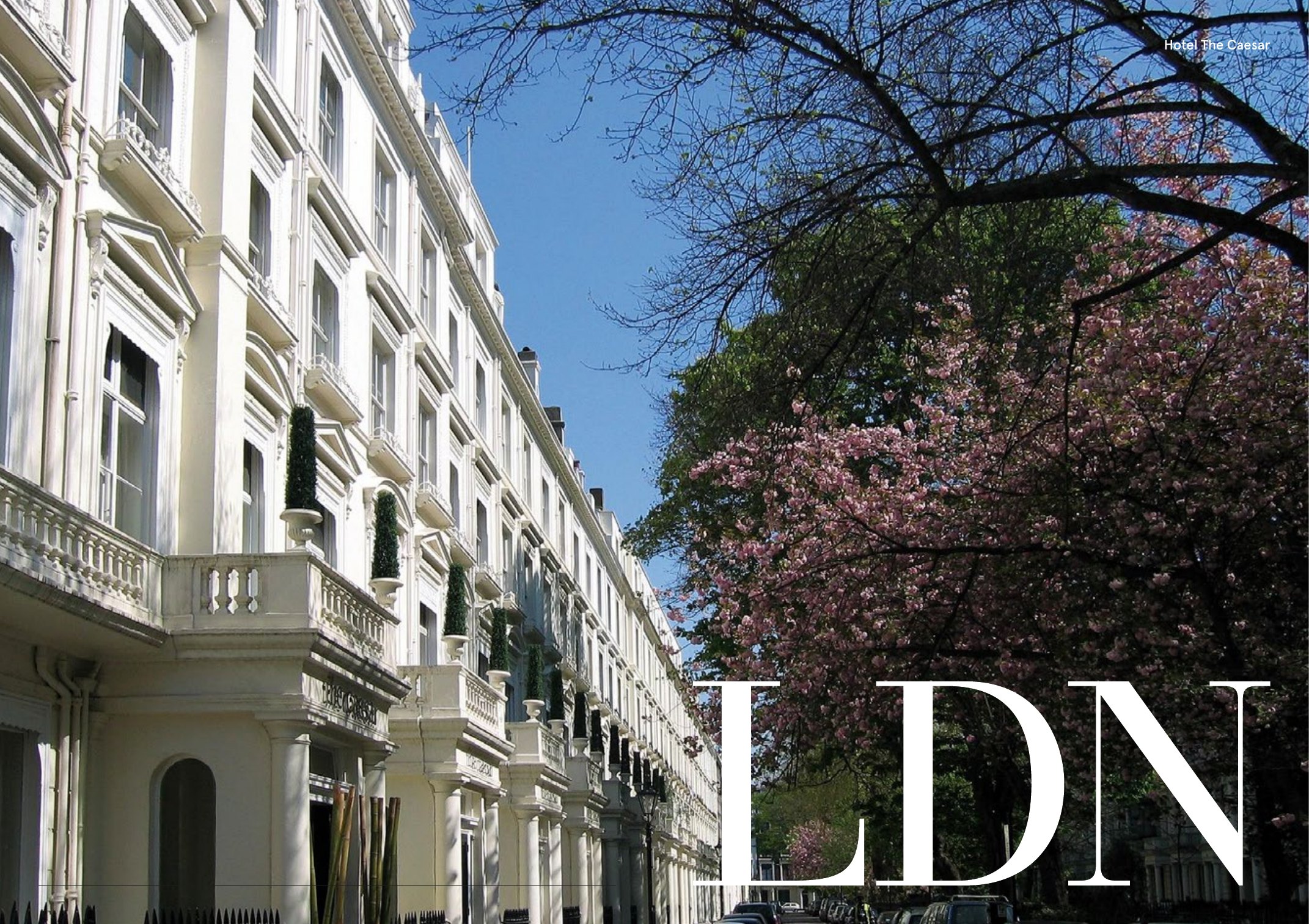 Apertura de Londres en el directorio: LDN a toda página sobre una calle victoriana con cerezos en flor