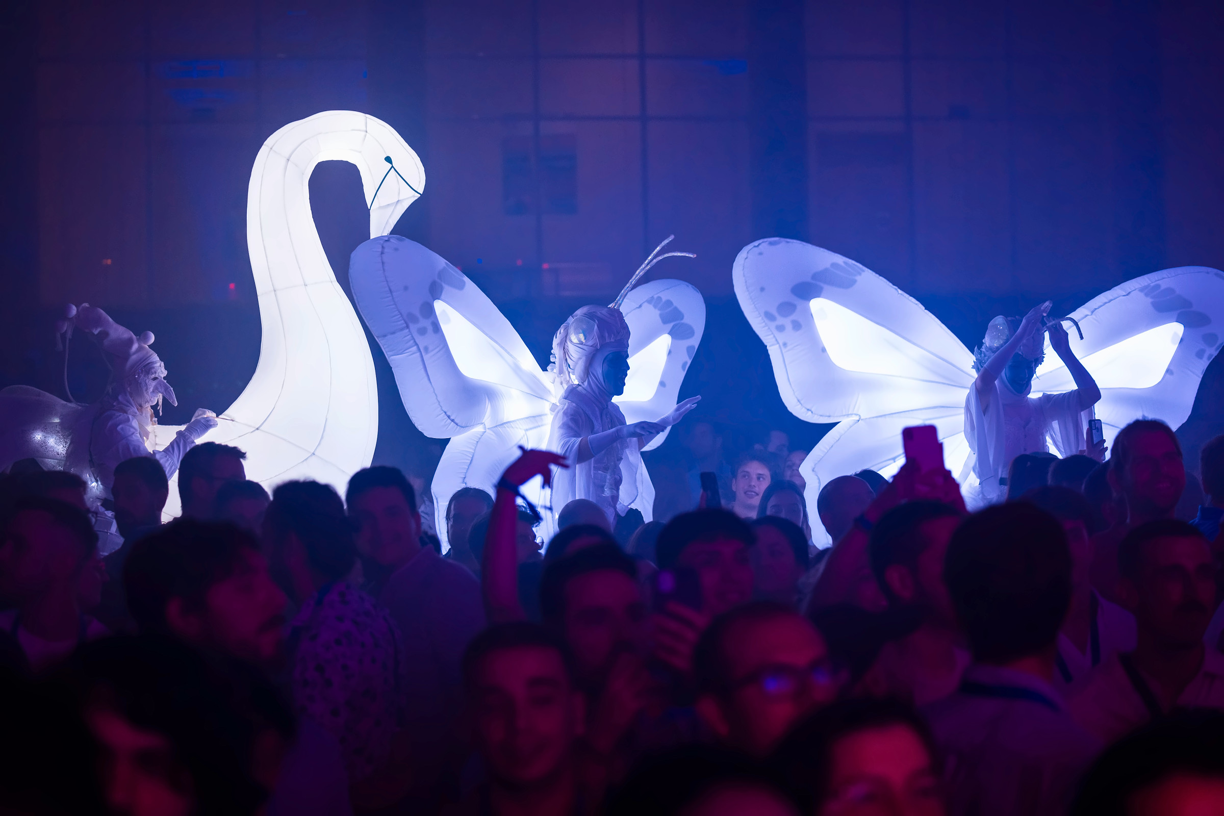 Cisnes y mariposas de luz blancos sobre el público