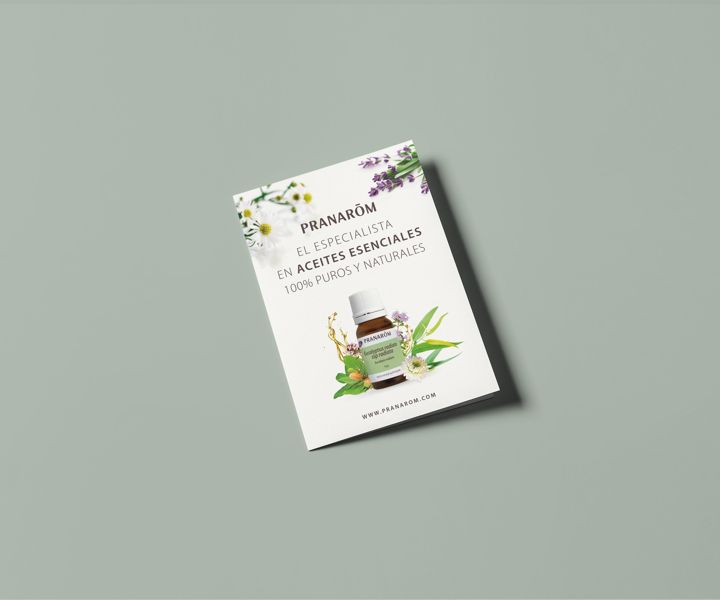 Librito corporativo de Pranarôm, el especialista en aceites esenciales, sobre fondo verde