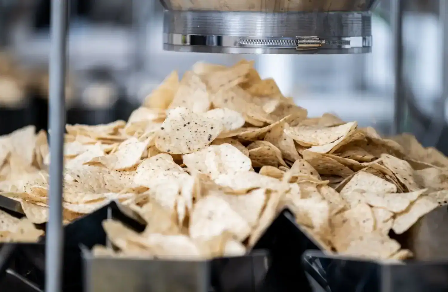 Snacks en la línea de producción de Tutichip, imagen del rebranding de Mariona Agency