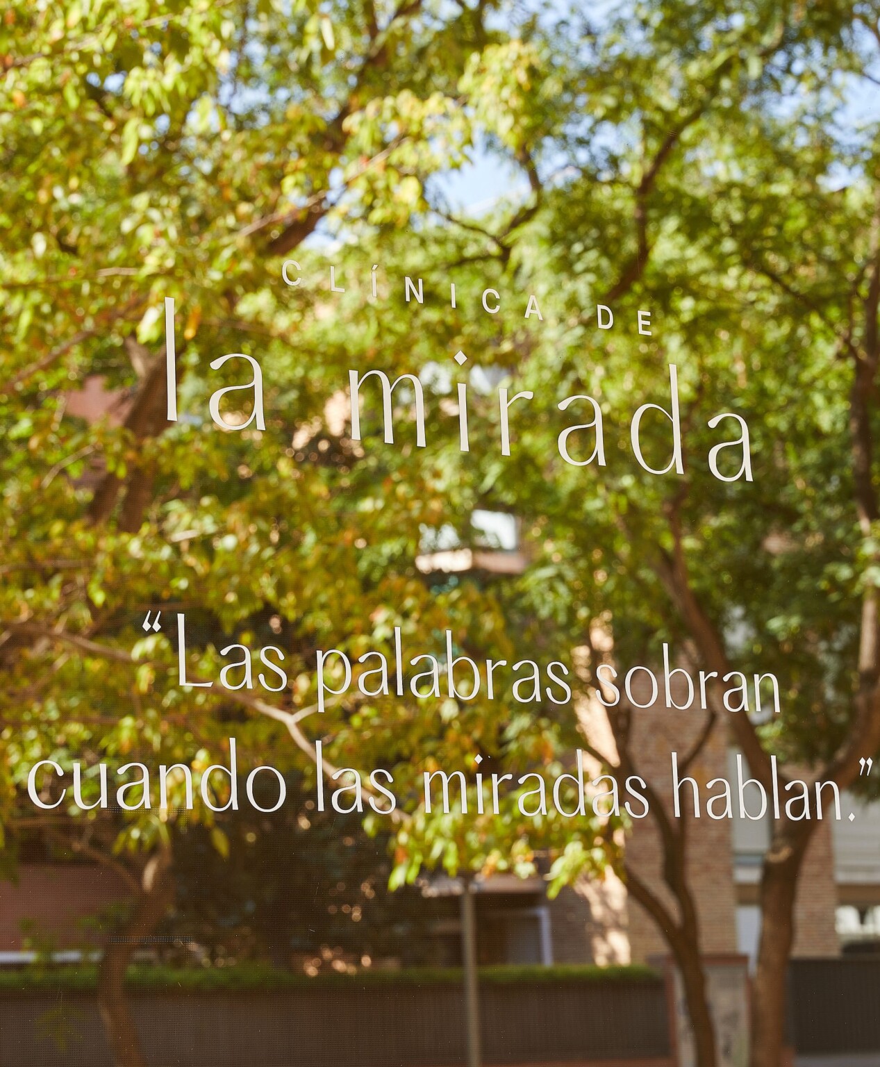 Window vinyl with the logo and the line “Las palabras sobran cuando las miradas hablan” (Words are not needed when eyes speak), with the street trees behind